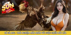 Đá Gà AOG - Trải nghiệm Mãn Nhãn Với Cuộc Chiến Nảy Lửa
