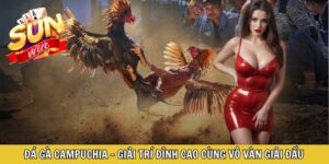 Đá Gà Campuchia - Giải Trí Đỉnh Cao Cùng Vô Vàn Giải Đấu