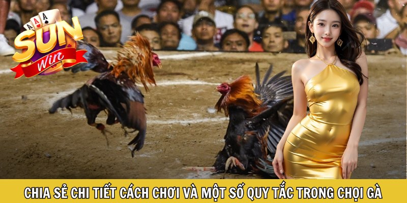 Chia sẻ chi tiết cách chơi và một số quy tắc trong chọi gà Campuchia