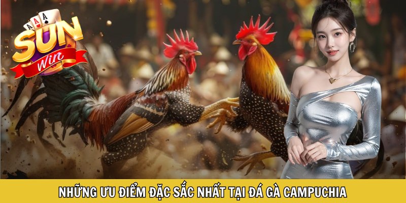Những ưu điểm đặc sắc nhất tại đá gà Campuchia