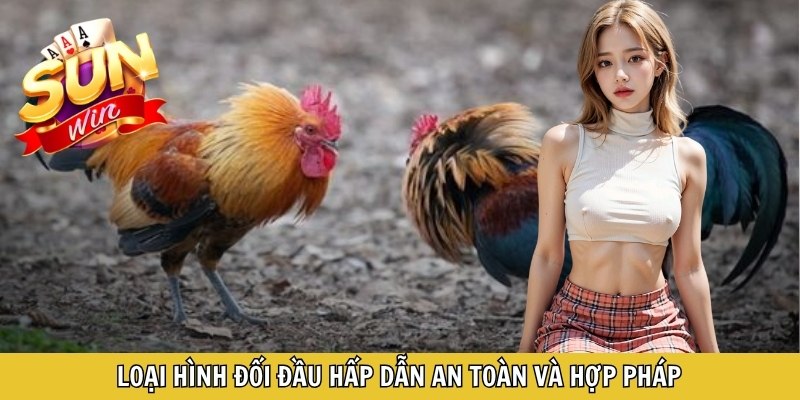 Loại hình đối đầu hấp dẫn an toàn và hợp pháp