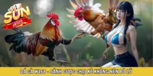 Đá Gà W168 - Sảnh Cược Chọi Kê Không Nên Bỏ Lỡ