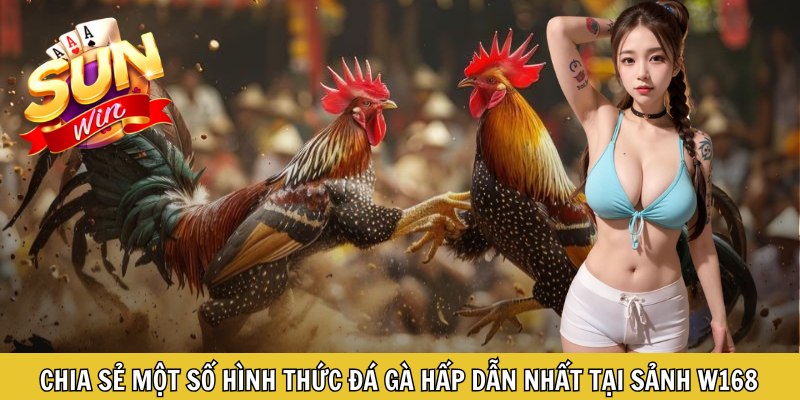 Chia sẻ một số hình thức đá gà hấp dẫn nhất tại sảnh W168