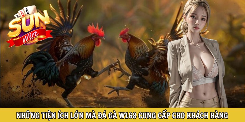Những tiện ích lớn mà đá gà W168 cung cấp cho khách hàng