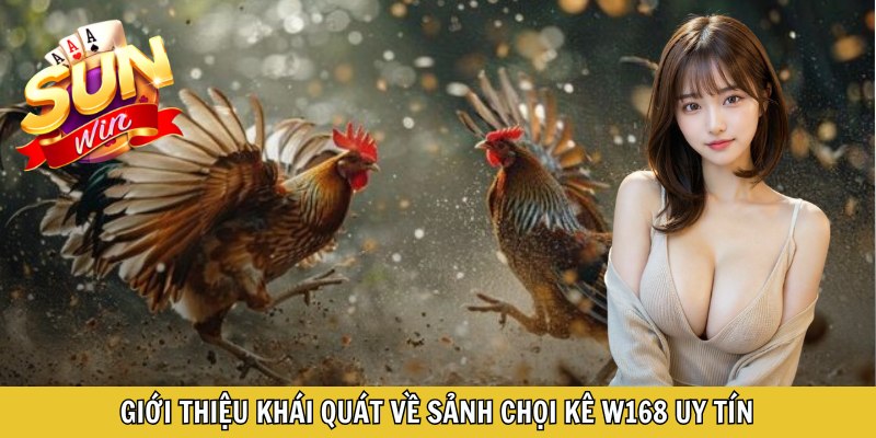 Giới thiệu khái quát về sảnh chọi kê W168 uy tín
