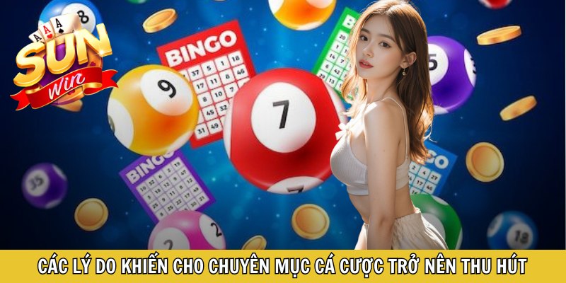 Các lý do khiến cho chuyên mục cá cược trở nên thu hút